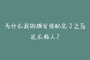 为什么我的猫发情配完了之后这么粘人？