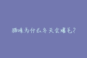 猫咪为什么冬天会爆毛？