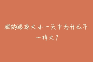 猫的眼珠大小一天中为什么不一样大？