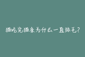 猫吃完猫条为什么一直舔毛？