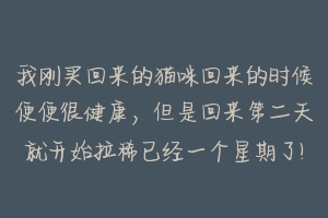 我刚买回来的猫咪回来的时候便便很健康，但是回来第二天就开始拉稀已经一个星期了!到底是怎么回事，会不会死啊？