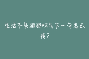 生活不易猫猫叹气下一句怎么接？