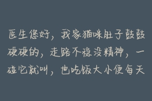 医生您好，我家猫咪肚子鼓鼓硬硬的，走路不稳没精神，一碰它就叫，也吃饭大小便每天都有，它怎么了？