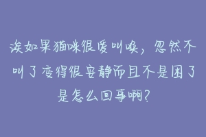 诶如果猫咪很爱叫唤，忽然不叫了变得很安静而且不是困了是怎么回事啊？