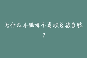 为什么小猫咪不喜欢总被亲脸？