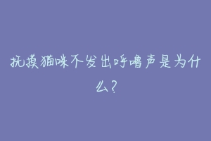 抚摸猫咪不发出呼噜声是为什么？