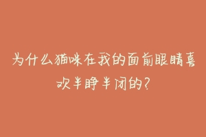 为什么猫咪在我的面前眼睛喜欢半睁半闭的？