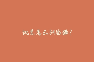 饥荒怎么驯服猫？