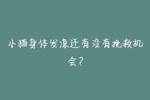 小猫身体发凉还有没有挽救机会？