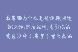 我家猫为什么老是饿.刚喂饱就又饿,然后狂叫,看到吃的简直没命了.家里不管多高的地方它都能上去拿吃的？