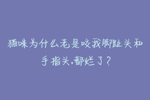 猫咪为什么老是咬我脚趾头和手指头.都烂了？