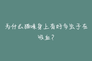 为什么猫咪身上有好多虫子在吸血？