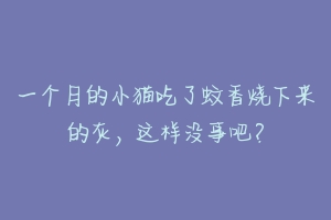 一个月的小猫吃了蚊香烧下来的灰，这样没事吧？