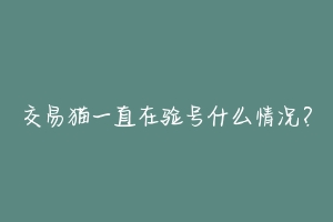 交易猫一直在验号什么情况？