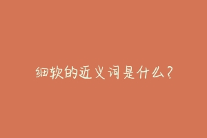 细软的近义词是什么？