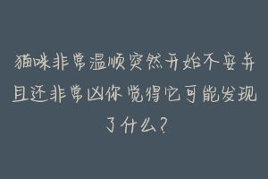 猫咪非常温顺突然开始不安并且还非常凶你觉得它可能发现了什么？