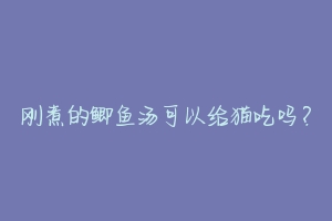 刚煮的鲫鱼汤可以给猫吃吗？