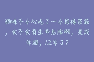 猫咪不小心吃了一小段橡皮筋，会不会有生命危险啊，是成年猫，12年了？