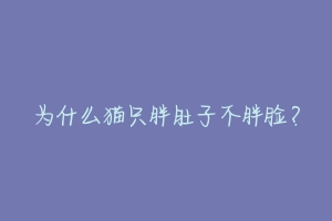 为什么猫只胖肚子不胖脸？