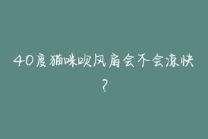 40度猫咪吹风扇会不会凉快？