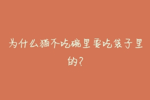 为什么猫不吃碗里要吃袋子里的？