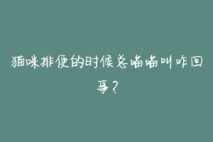 猫咪排便的时候总喵喵叫咋回事？