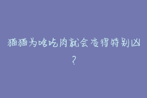 猫猫为啥吃肉就会变得特别凶？