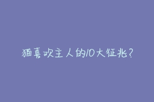 猫喜欢主人的10大征兆？