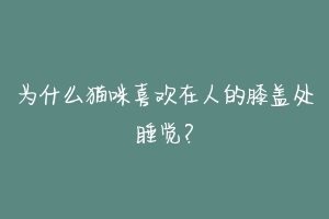 为什么猫咪喜欢在人的膝盖处睡觉？