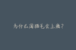 为什么闻猫毛会上瘾？