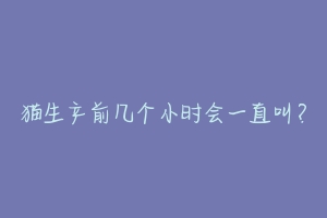 猫生产前几个小时会一直叫？