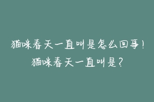 猫咪春天一直叫是怎么回事！猫咪春天一直叫是？