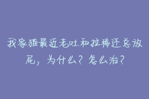 我家猫最近老吐和拉稀还总放屁，为什么？怎么治？