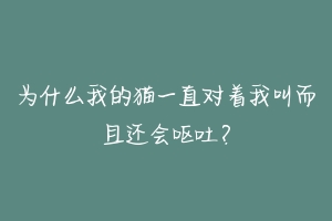 为什么我的猫一直对着我叫而且还会呕吐？