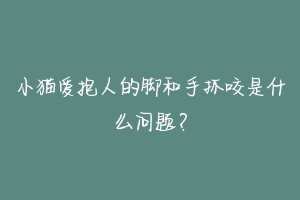 小猫爱抱人的脚和手抓咬是什么问题？