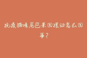 抚摸猫咪尾巴来回摆动怎么回事？