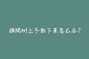 猫爬树上不敢下来怎么办？