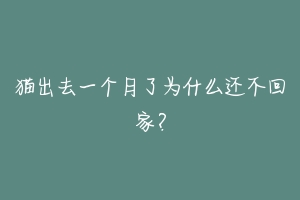 猫出去一个月了为什么还不回家？