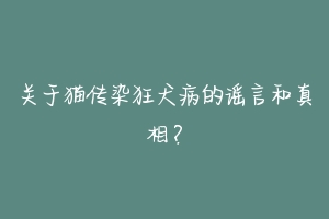 关于猫传染狂犬病的谣言和真相？