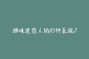 猫咪迷惑人的10种表现？