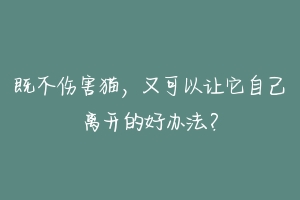 既不伤害猫，又可以让它自己离开的好办法？