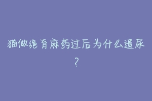 猫做绝育麻药过后为什么遗尿？