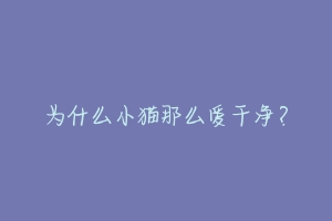 为什么小猫那么爱干净？