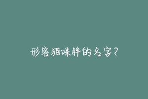 形容猫咪胖的名字？