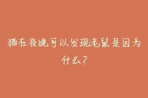 猫在夜晚可以发现老鼠是因为什么？