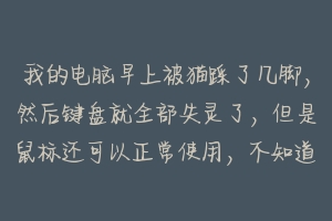 我的电脑早上被猫踩了几脚，然后键盘就全部失灵了，但是鼠标还可以正常使用，不知道是锁住了哪里，求救？