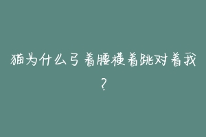 猫为什么弓着腰横着跳对着我？