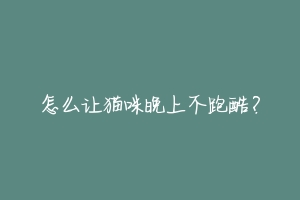 怎么让猫咪晚上不跑酷？