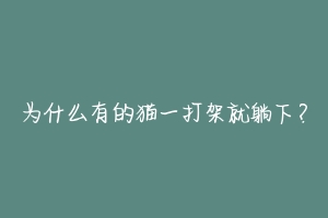 为什么有的猫一打架就躺下？