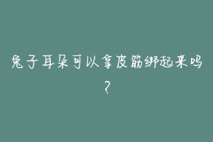 兔子耳朵可以拿皮筋绑起来吗？